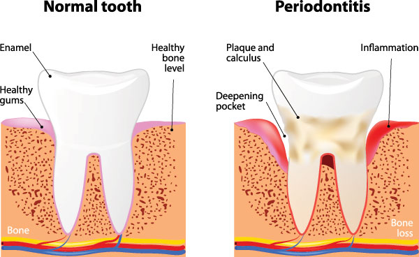 Lush Dental